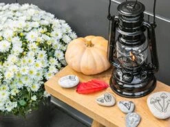 Feuerhand Baby Special 276 Black Stormlamp 11 Feuerhand Baby Special 276 Black Stormlamp -Buiten Kamperen feuerhand stormlamp zwart 4 ecommerce 1292